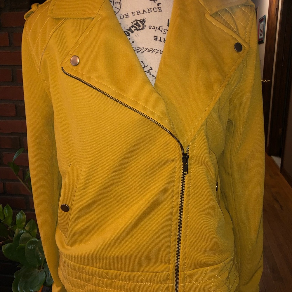 Greylin Mustard Moto Jacket